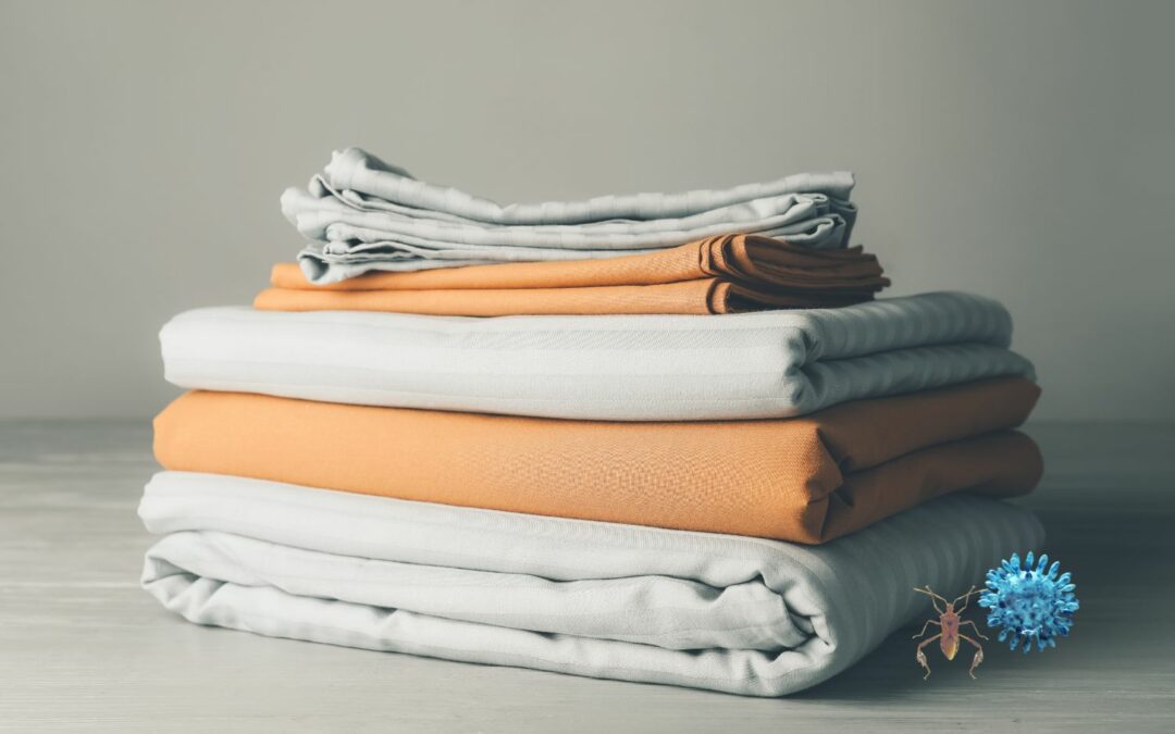 Punaises de lit : comment nettoyer literie et vêtements contaminés ?