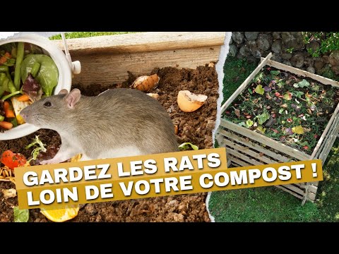 protéger son compost des rongeurs ?