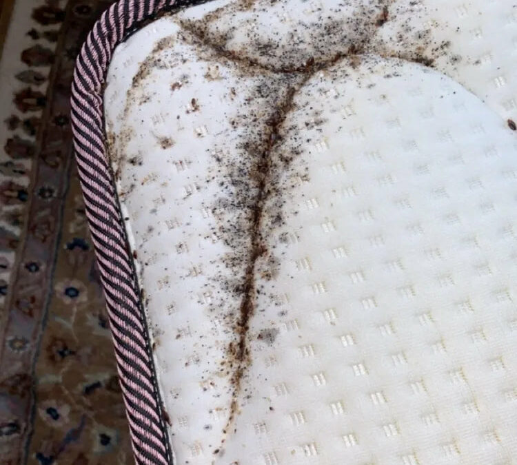 Traces foncées visibles près d’une couture de matelas, à interpréter après inspection