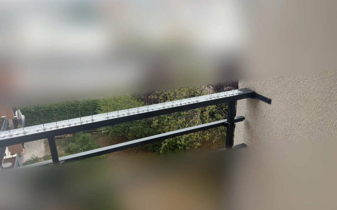 Pics anti-pigeons visibles sur une main courante de balcon, photo de terrain anonymisée