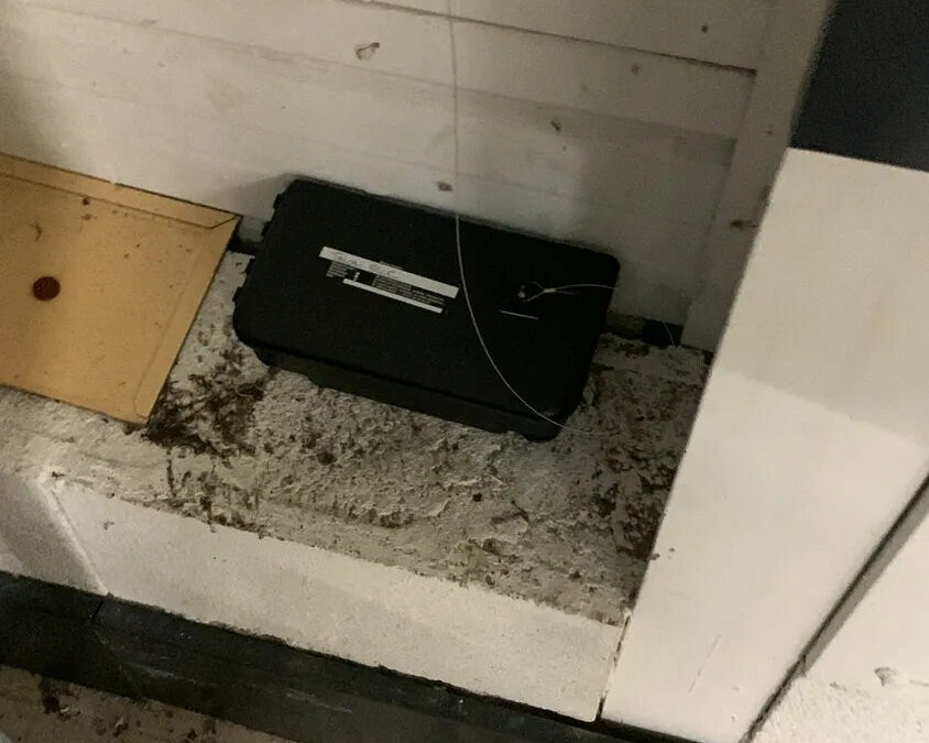Boîtier sécurisé de contrôle des rongeurs situé le long d'une paroi en local professionnel