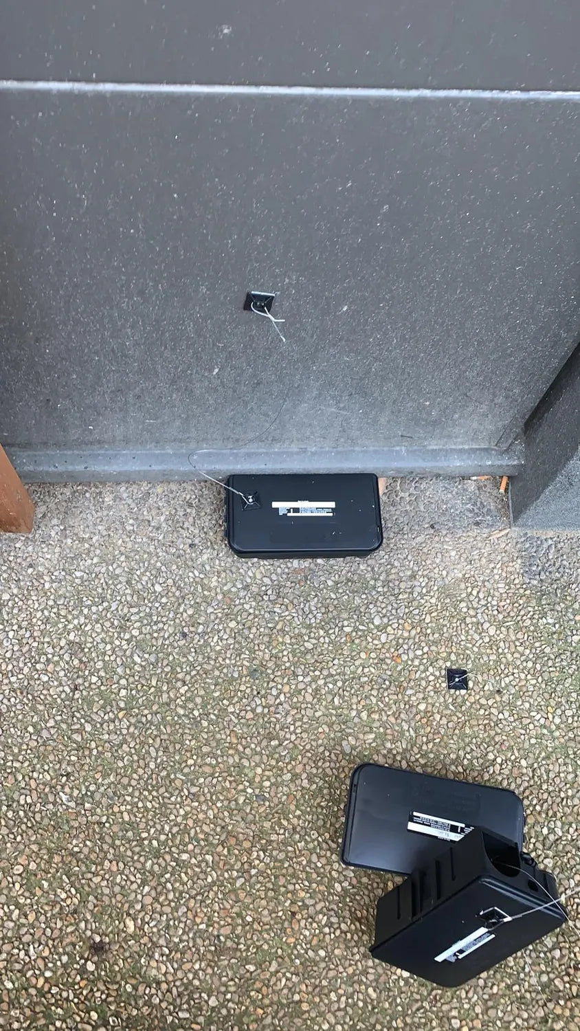 Boîtier de contrôle anti-rongeurs disposé en extérieur contre un mur