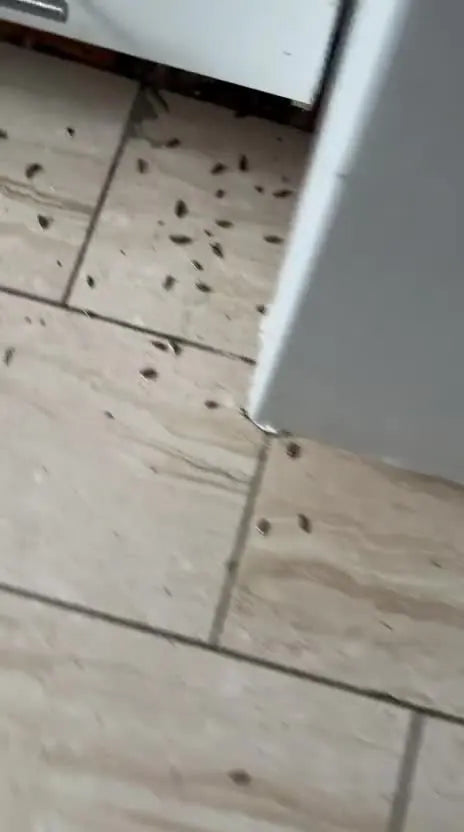 Petits éléments sombres dans une zone de jonction du carrelage