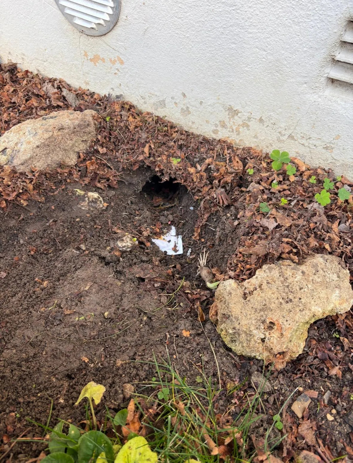 Cavité dans la terre près de la fondation d’un bâtiment
