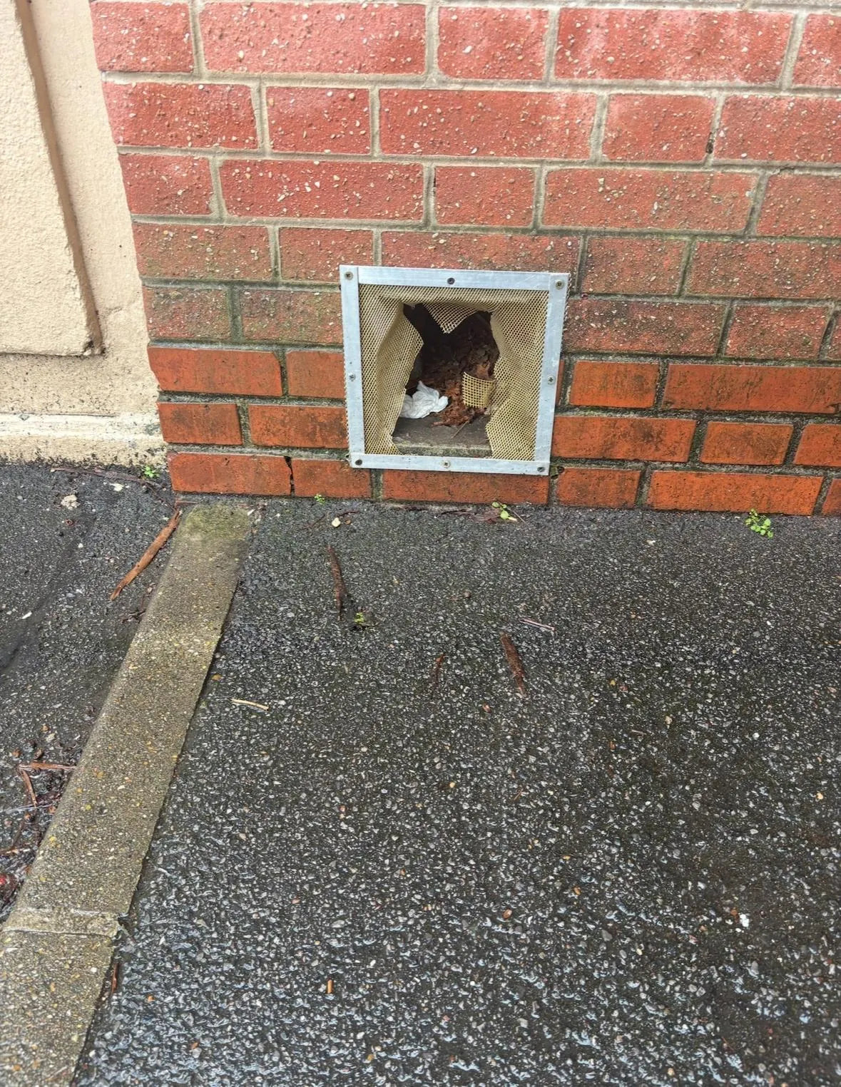 Grille de ventilation extérieure présentant une protection déchirée